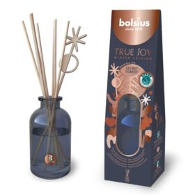 Ruumilõhnastaja Salajane mets 80ml